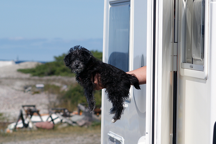 049 - Gotland 2008 Sol Och åter Sol :) :)