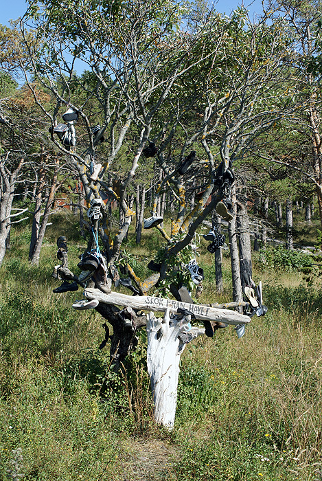 050 - Gotland 2008 Sol Och åter Sol :) :)