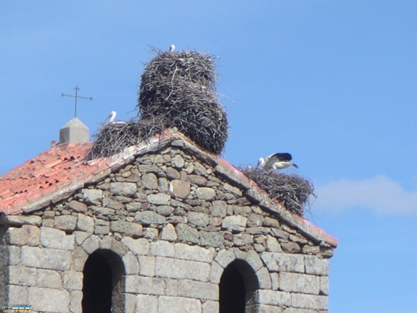 060401 3 Spanien, Alta Montana