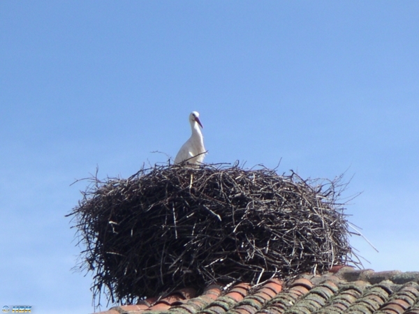 060401 4 Spanien, Alta Montana