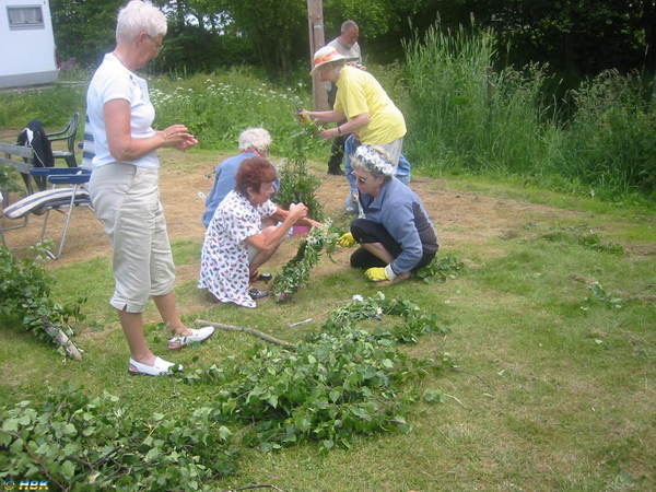 06062303 Midsommar i Hörröd