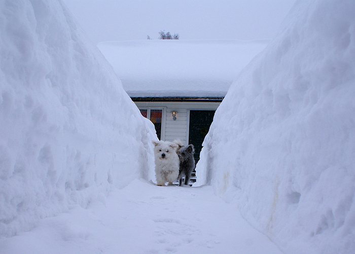 102 . Vinter 2010