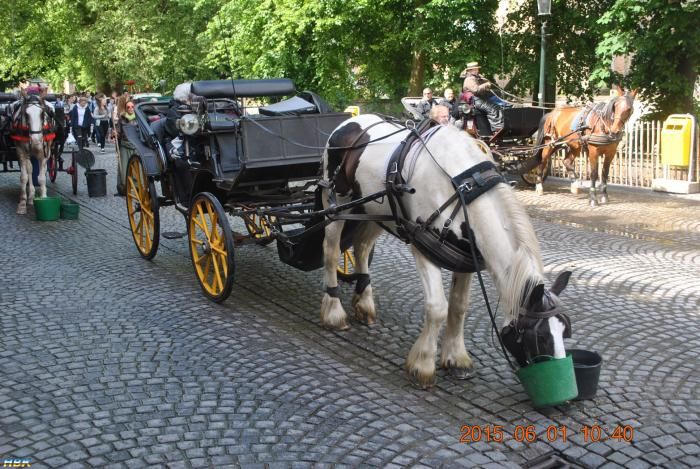 150601 132 Brügge