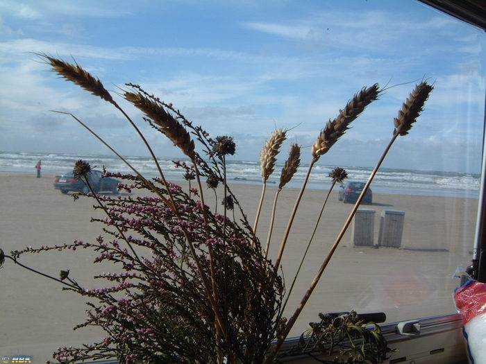 20060903-01Blokhus