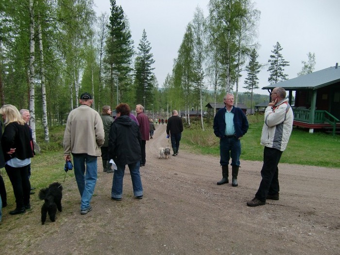 20100521 23 V Rmlandstr Ffen 039  800x600