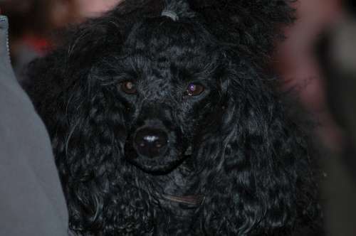 280 Husbilsträff Karmansbo