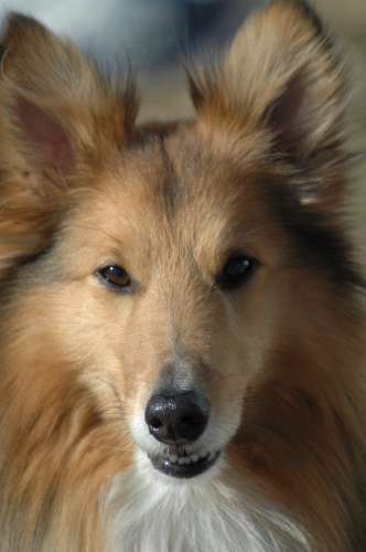 283 Husbilsträff I Karmansbo