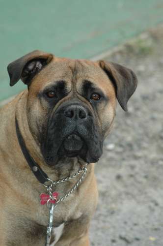 299 Husbilsträff I Karmansbo