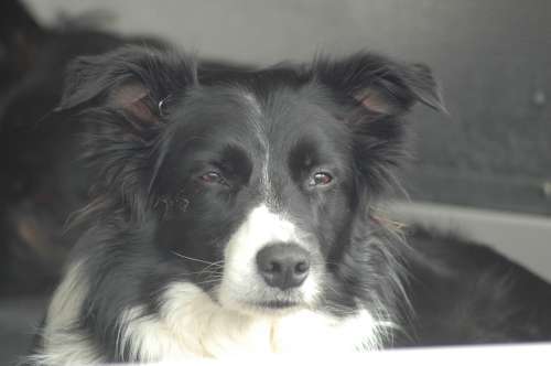 300 Husbilsträff I Karmansbo