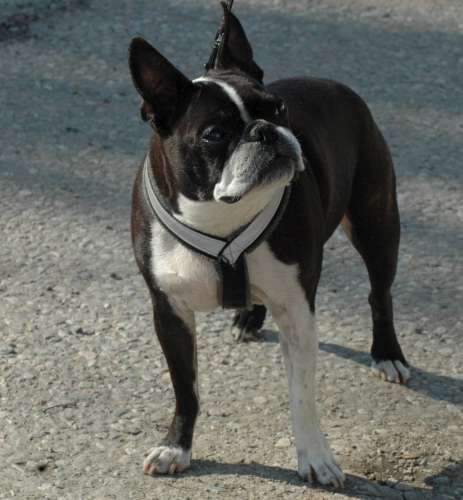 304 Husbilsträff I Karmansbo