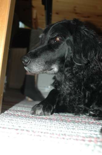 310 Husbilsträff I Karmansbo