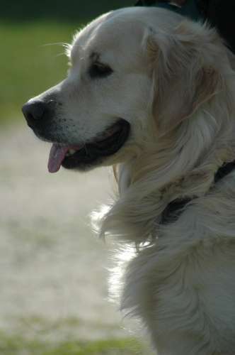 355 Träffar O Resor I Aprill