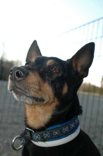 368 Träffar O Resor I Aprill