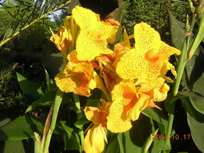 Aginara Camping Peloponnesos Grekland