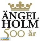 Angelholm500