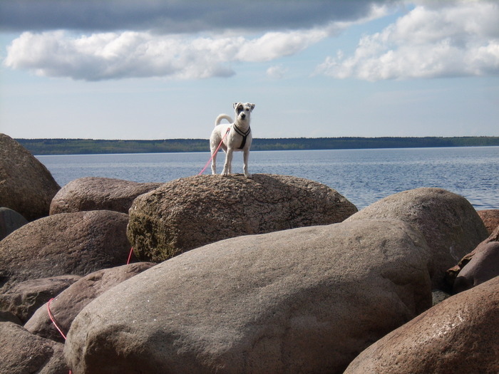 Asta Vid Skagern