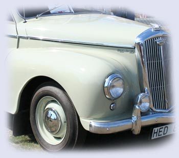 Bilv842