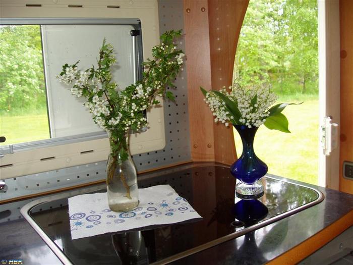 Blommor Sandsjön 2006