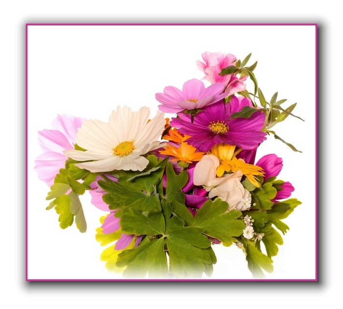 Blomsterkvast