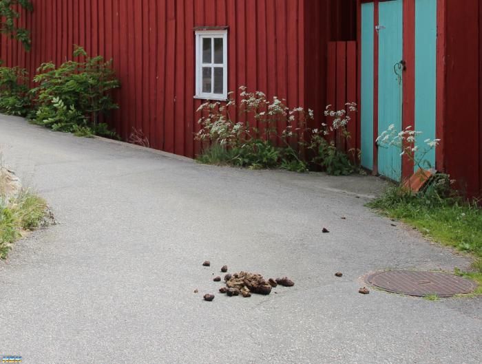 Bohuslän juni -12
