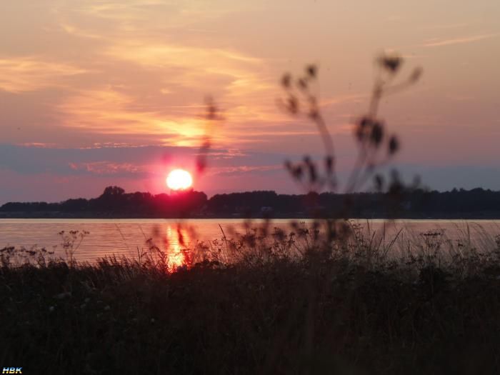 Bua Hamn