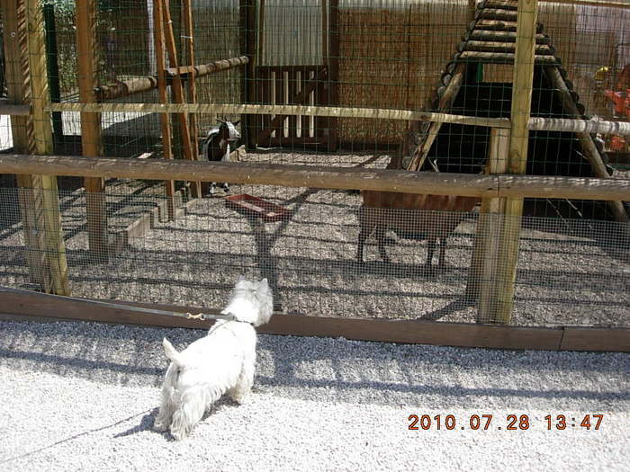 Campging Jolly I Trento