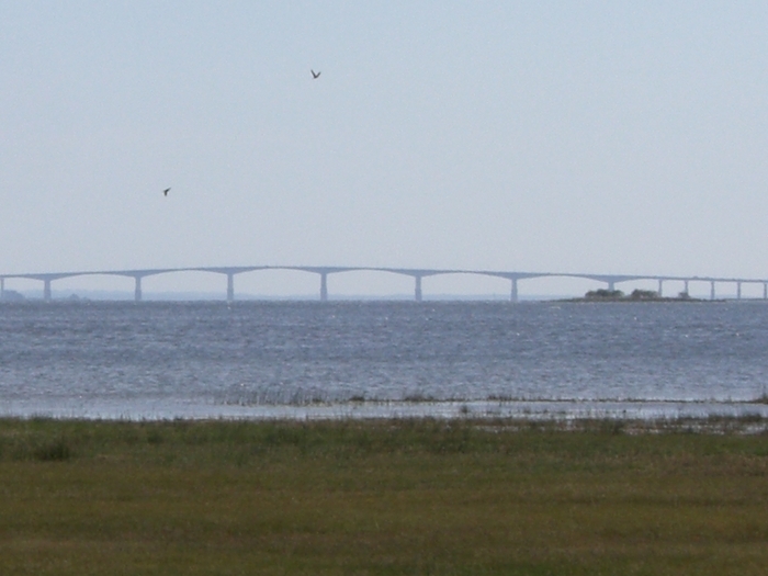 Cimg0805