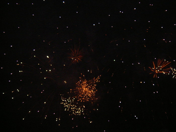 Concorde Himmelfahrtstreff 2010