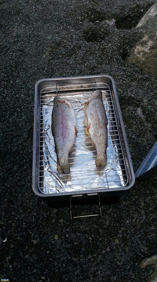 Egen Fiskad öring? : P