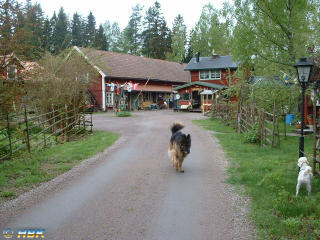 Eva &amp; Hasse HBK 9