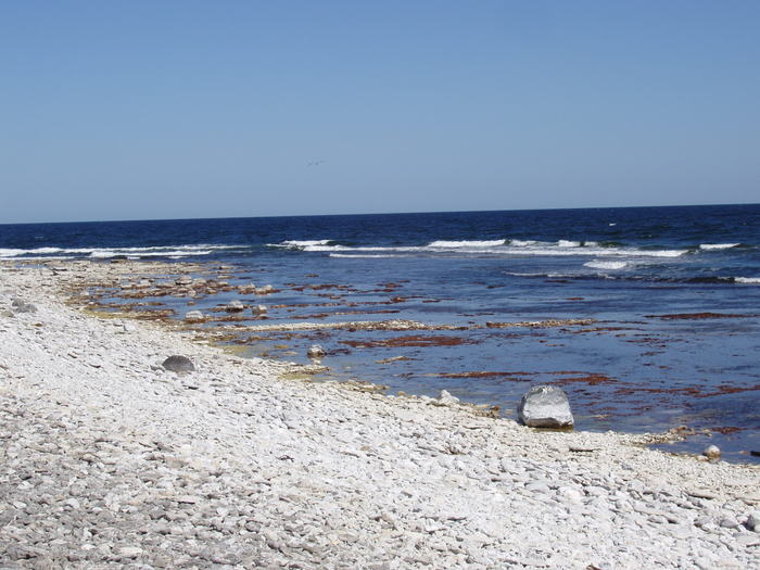 Fårö 08