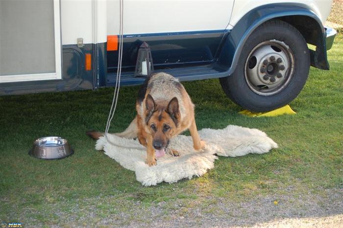 Första Årsmötet Floby