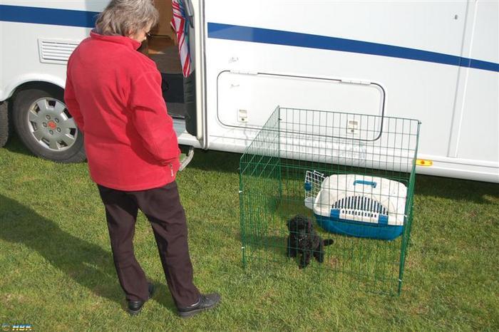 Första Årsmötet Floby