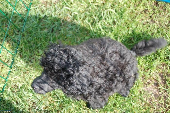 Första Årsmötet Floby