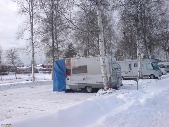 frusen tysk i mora