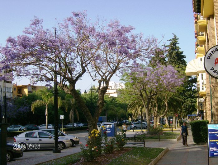 Fuengirola 003