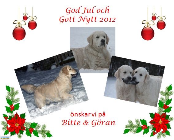 God Jul 2011