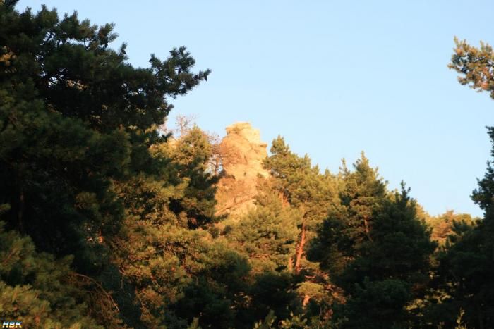 Gotland 2011