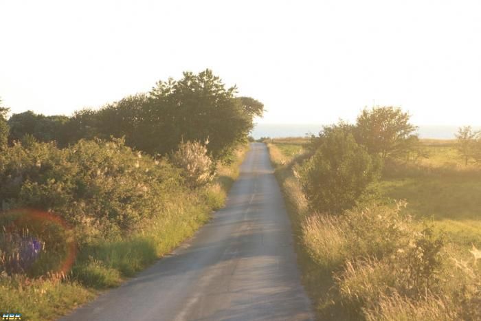 Gotland 2011