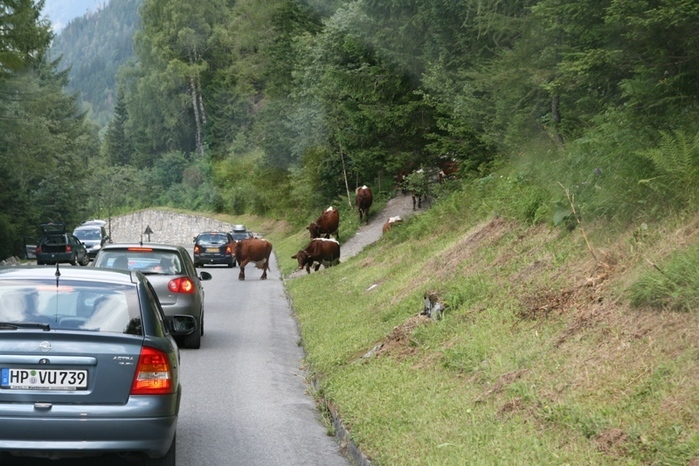Grossglockner