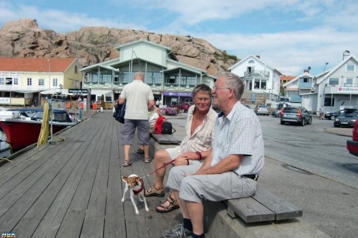 Guleskär