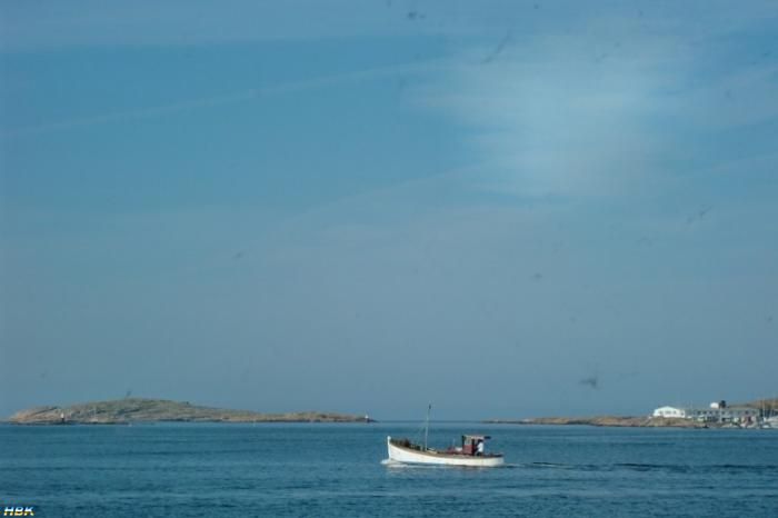 Guleskär