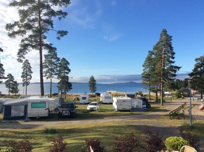 Gullvik 2015