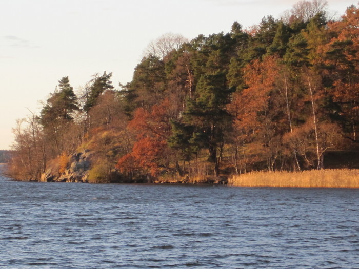 Hösten 2010