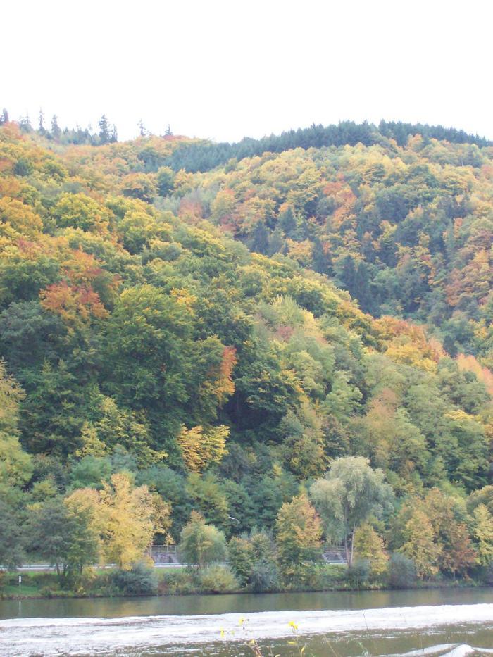 Höstresa Italien O Tyskland 2008