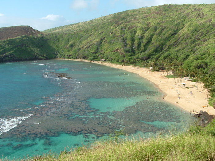 Hawai 239