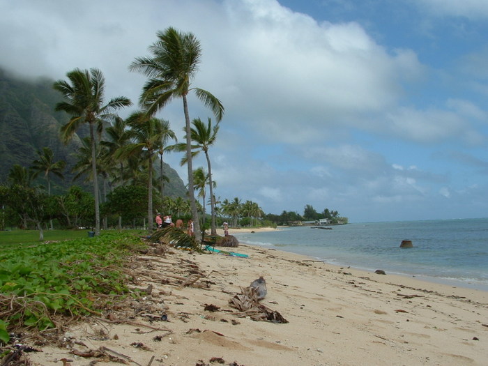 Hawai 257