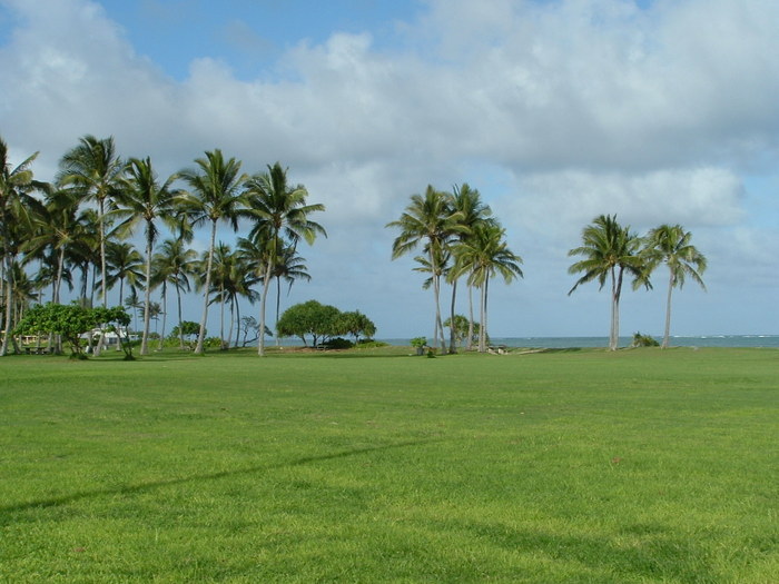 Hawai 268