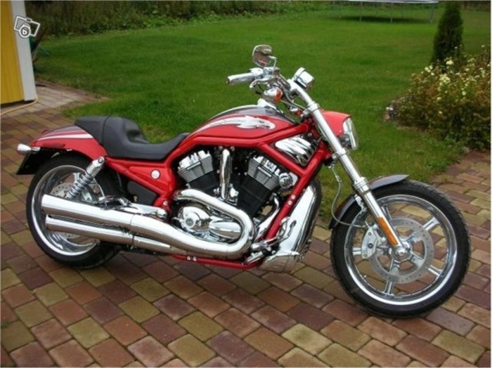 Hd V-rod Se