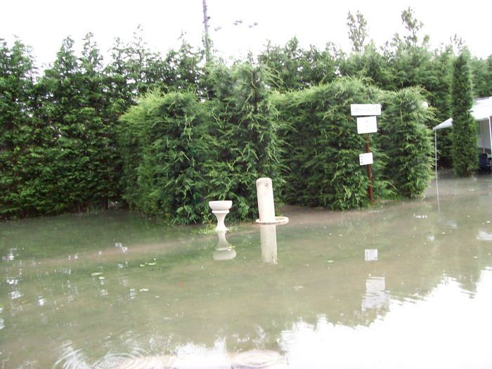 Italien 3/6-10/7 2008